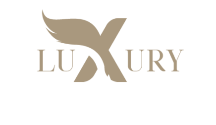 Logo Luxury Plane