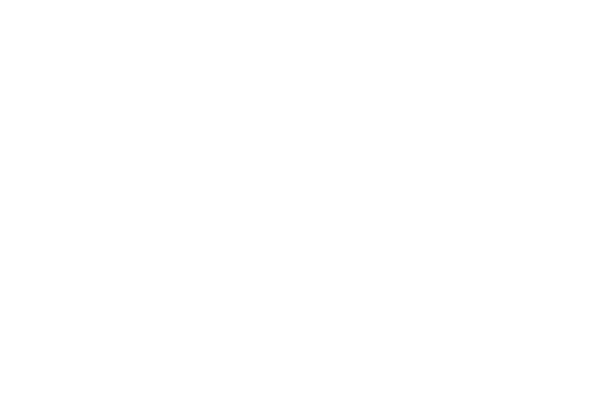 logo Hypevandals